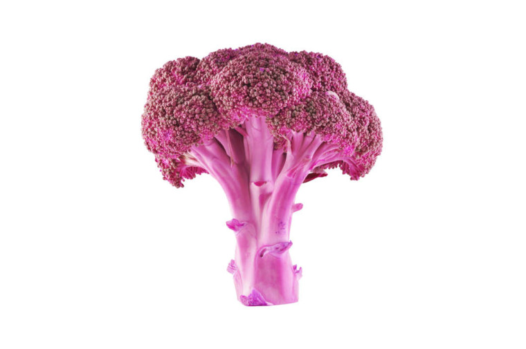 14-bubble-gum-broccoli.w529.h352.2x (1)