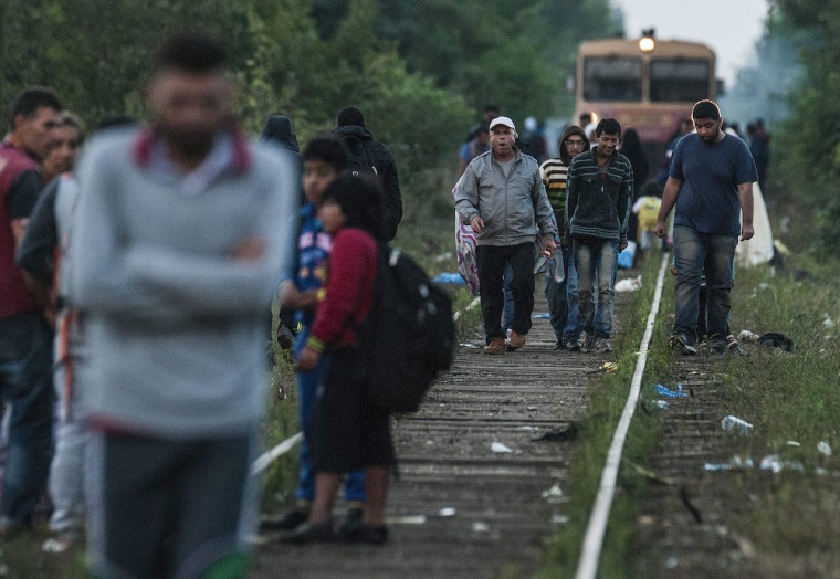 Illegális bevándorlás - Migránsok a magyar-szerb határnál