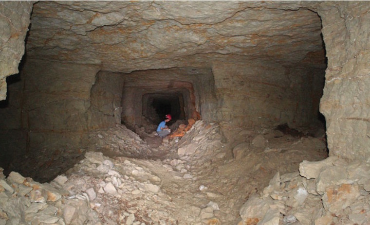 Egypt-dog-catacombs-underground