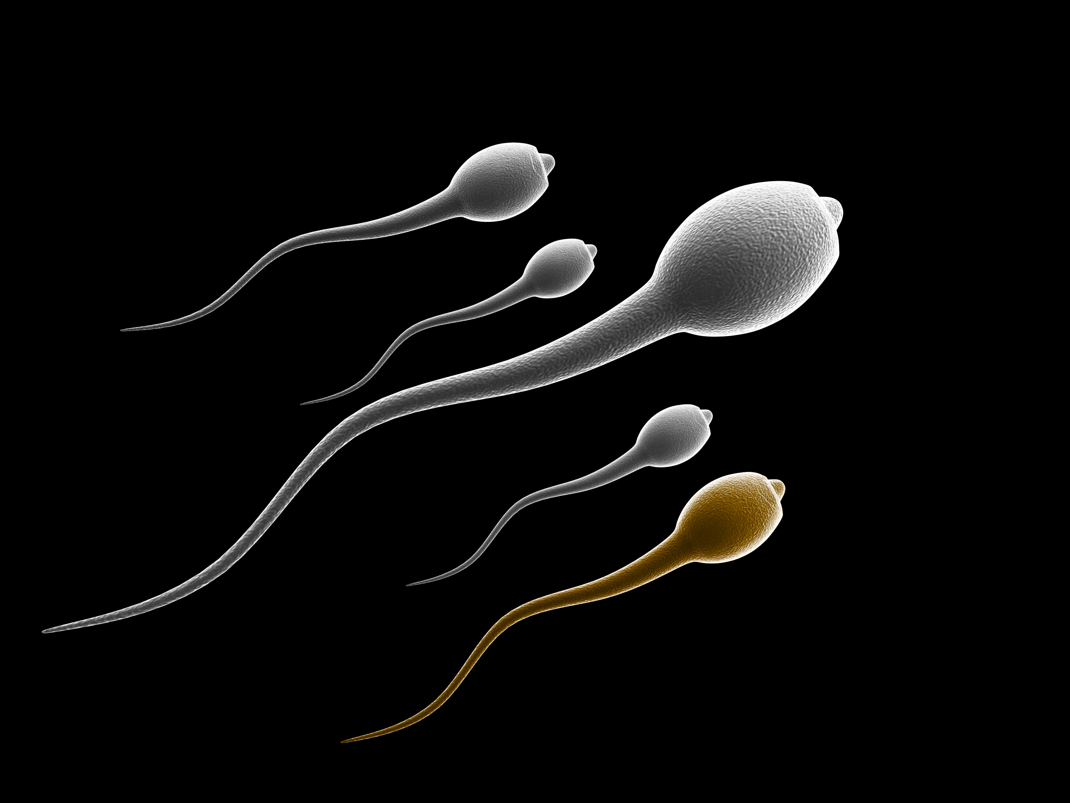 усваивается ли сперма в организме фото 83